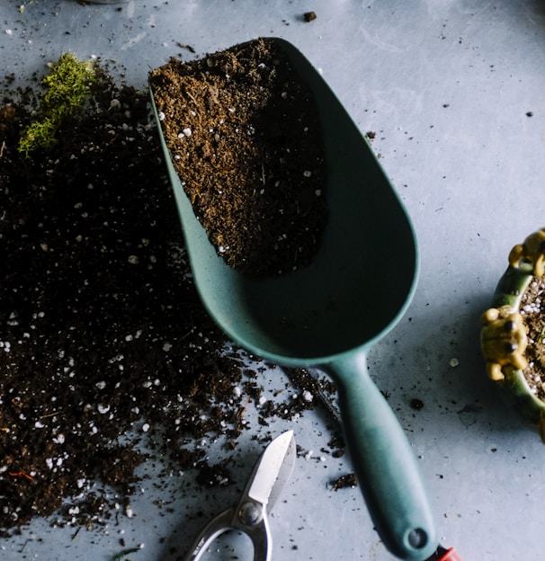 green metal garden shovel filled with brown soil