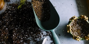 green metal garden shovel filled with brown soil