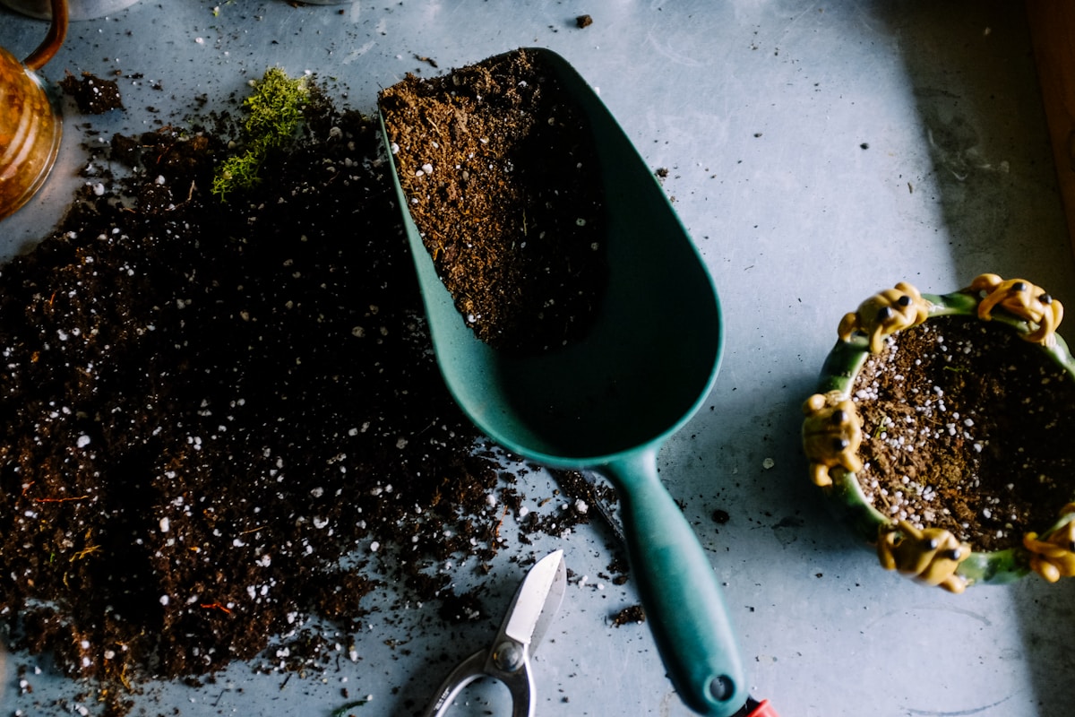 loose dirt next to a teal trowel that has dirt next to a little green pot that has 5 sculpted frogs hanging on the lid also filled with dirt.  All on a grey surface.  To the left of the trowel is a tiny scissors with a black handle.