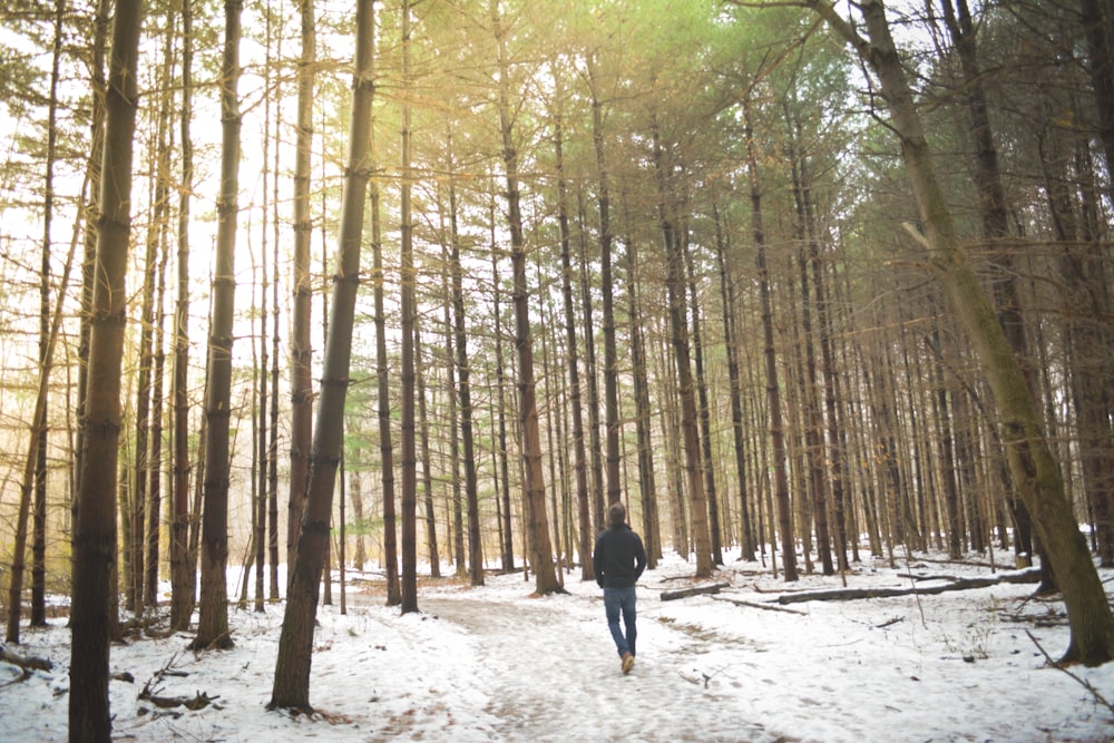 person wearing blue jeans in forest