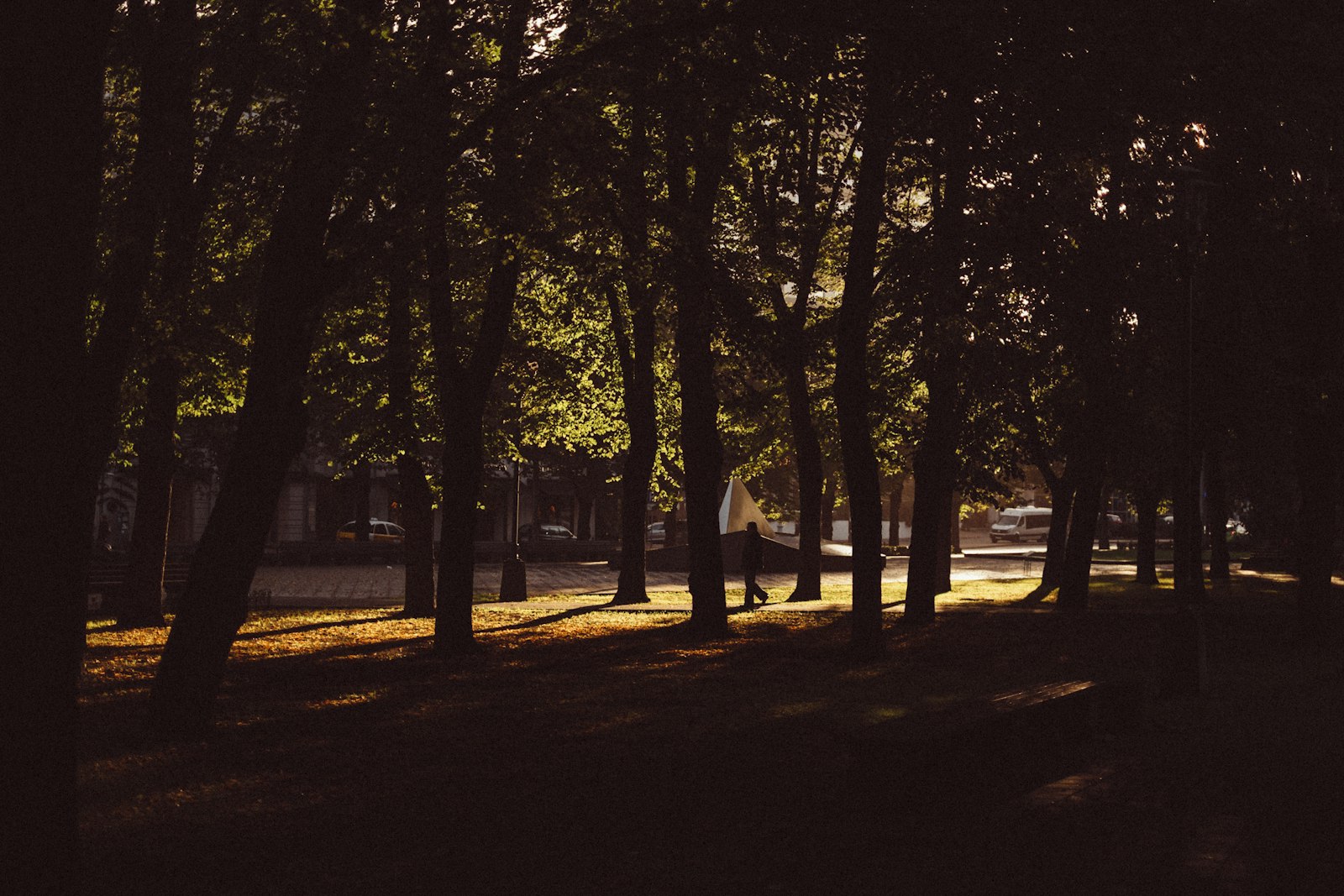 Fujifilm X-E1 sample photo. Trees during night time photography