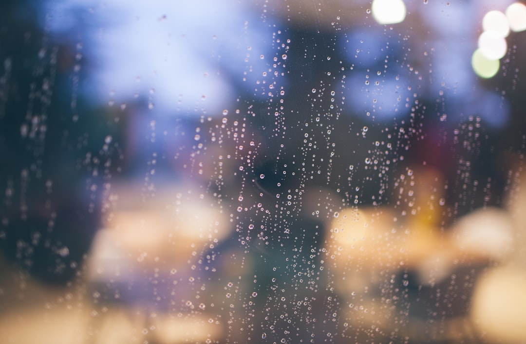 鋒面來得突然。那些微涼的雨，卻怎麼也澆不進他心頭。