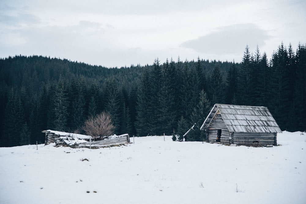 wooden cabin on snow-covered field