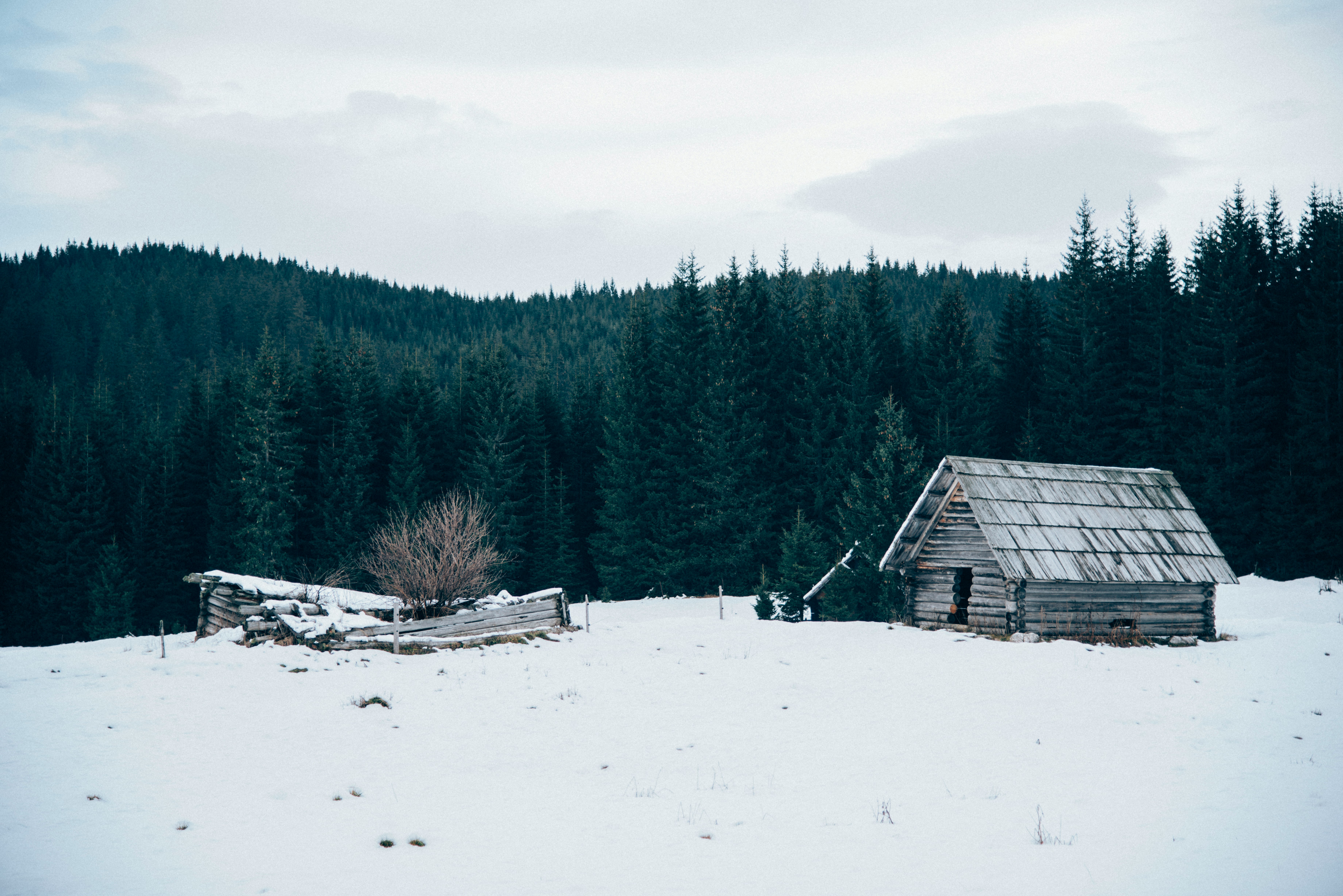 wooden cabin on snow-covered field