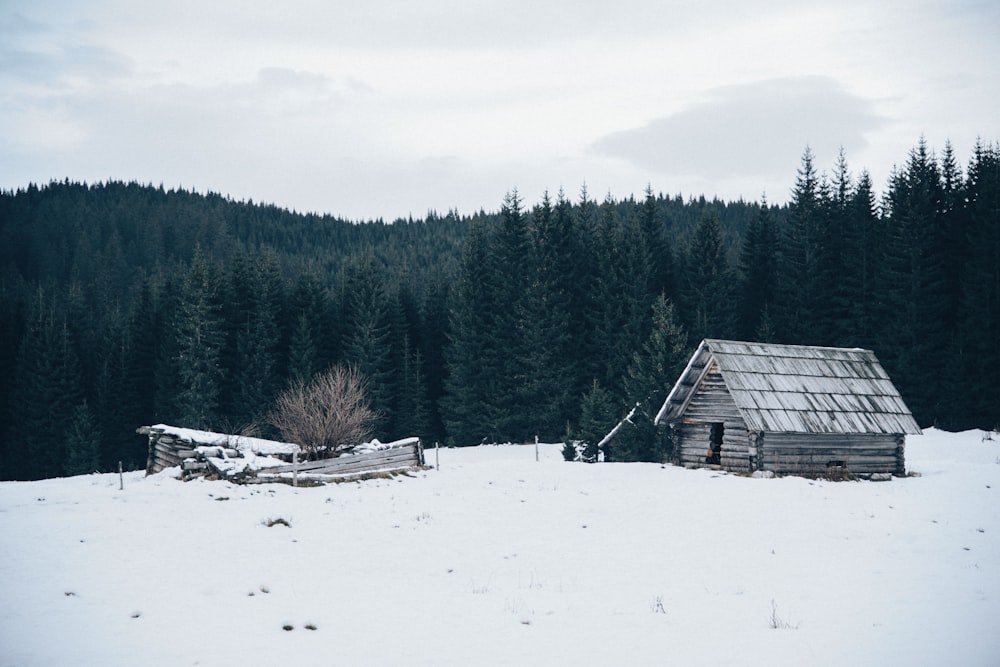 Holzhütte auf verschneitem Feld