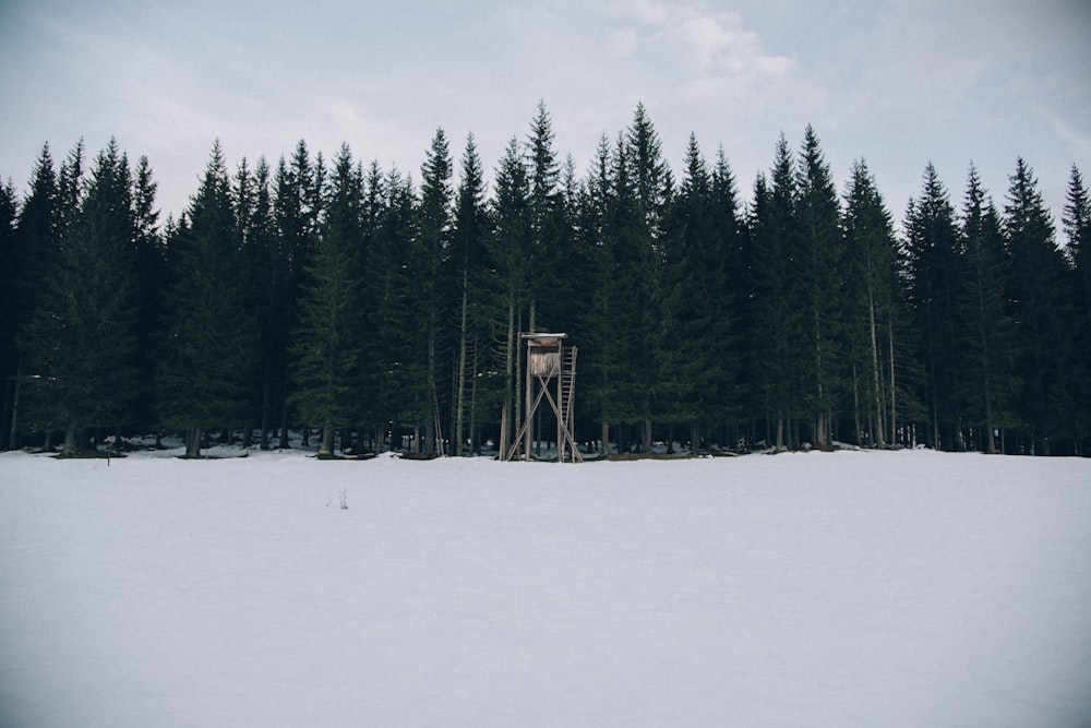 watchtower in front of trees