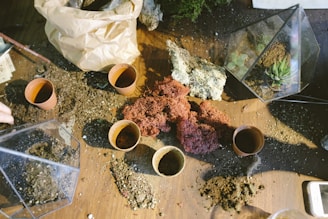 A tabletop setup for creating small indoor plant terrariums is visible. There are several empty and filled plant pots, a plastic bag filled with soil, clumps of moss, and a geometric glass terrarium containing a small succulent plant. The workspace is scattered with soil and other planting materials, suggesting an active gardening project.