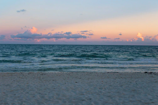 seashore with sea during golden hour