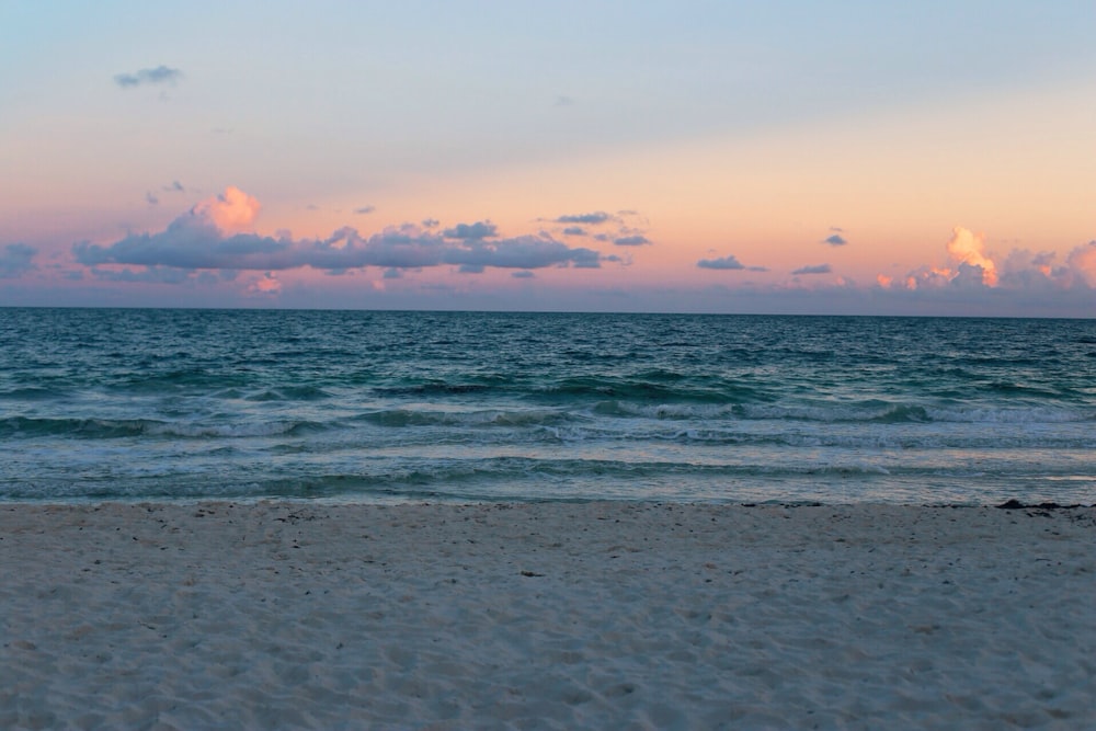 seashore with sea during golden hour