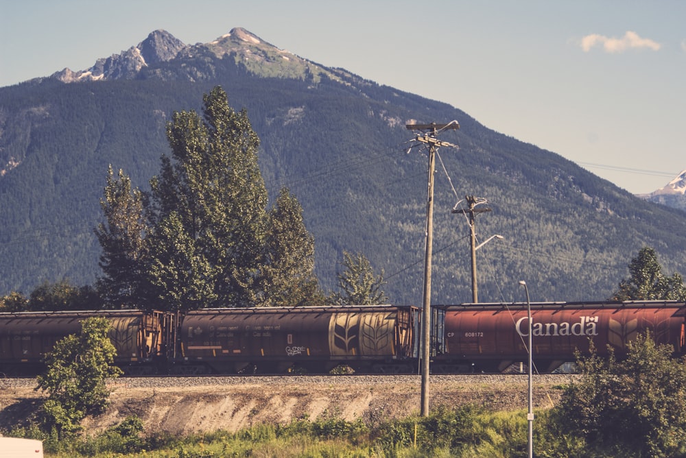 brown and red train at daytime