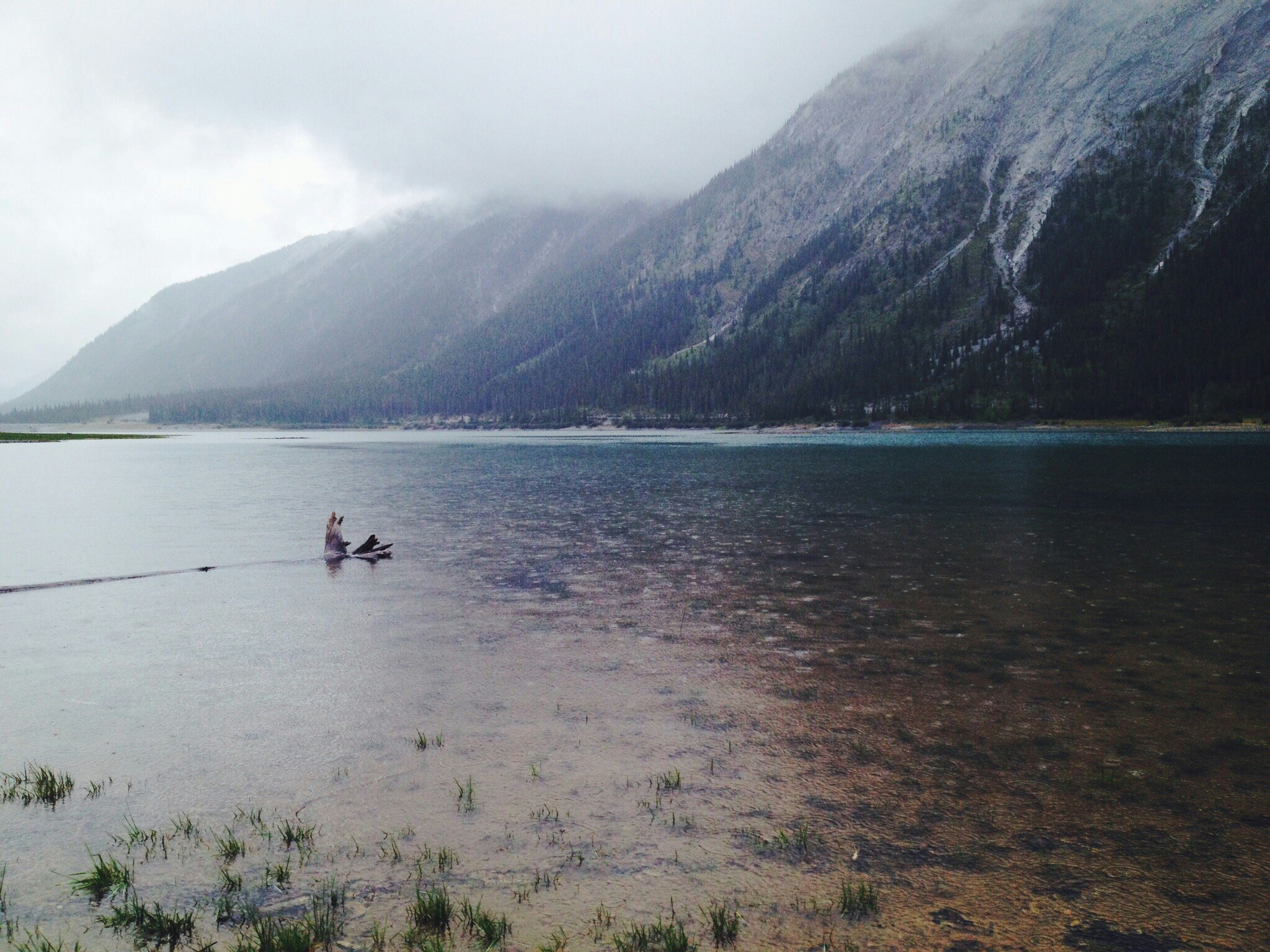 Free Unsplash photo from Calum Patrick