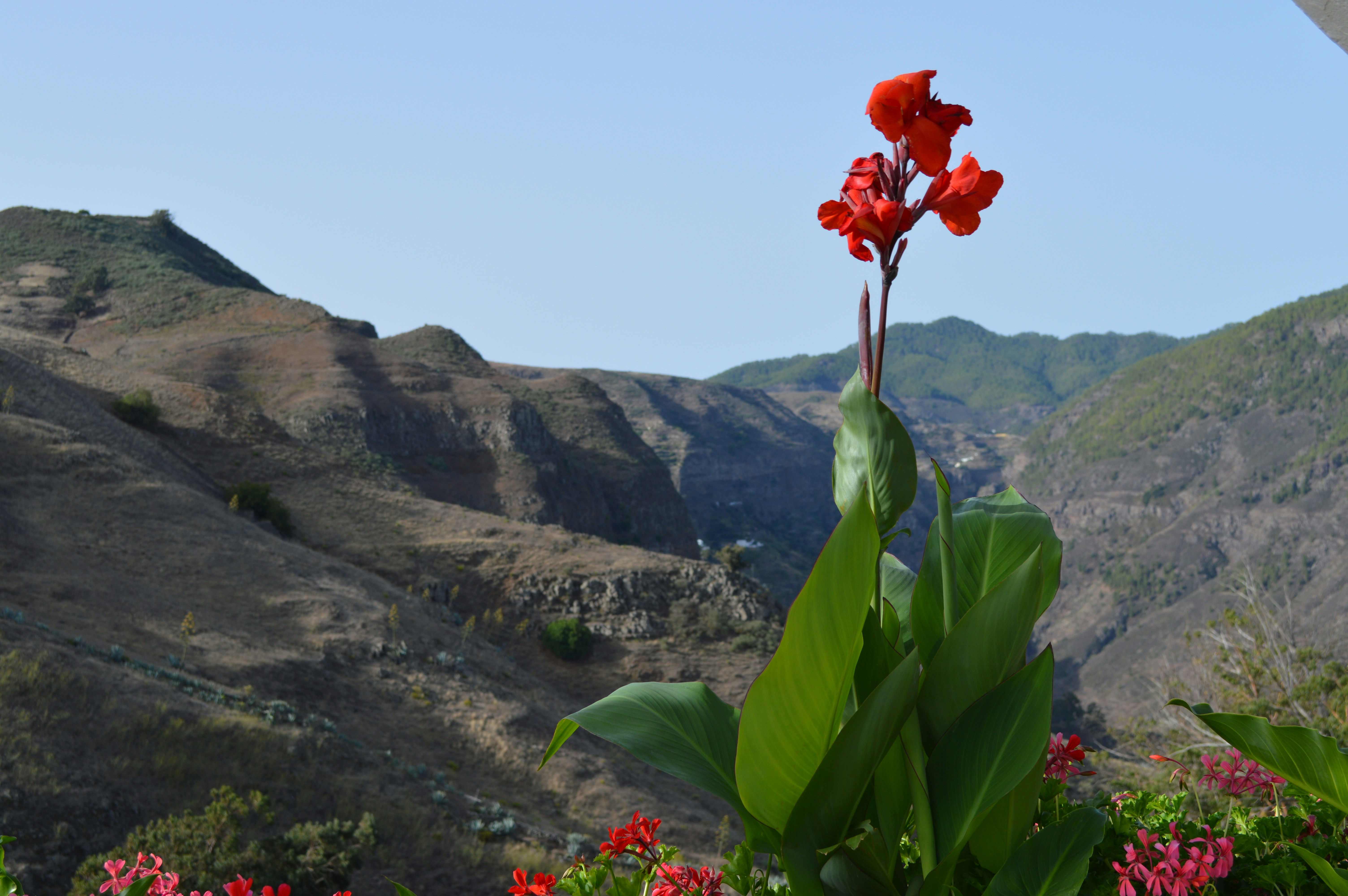 Free Unsplash photo from Daniel Ocana