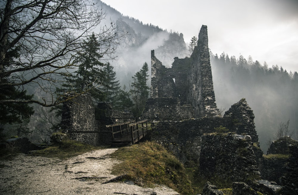 Ruinen in der Nähe von Bäumen mit Nebel während des Tages