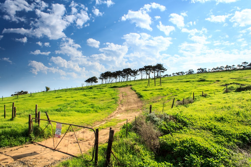 green grass field with gate under blue sky and white clouds during daytime