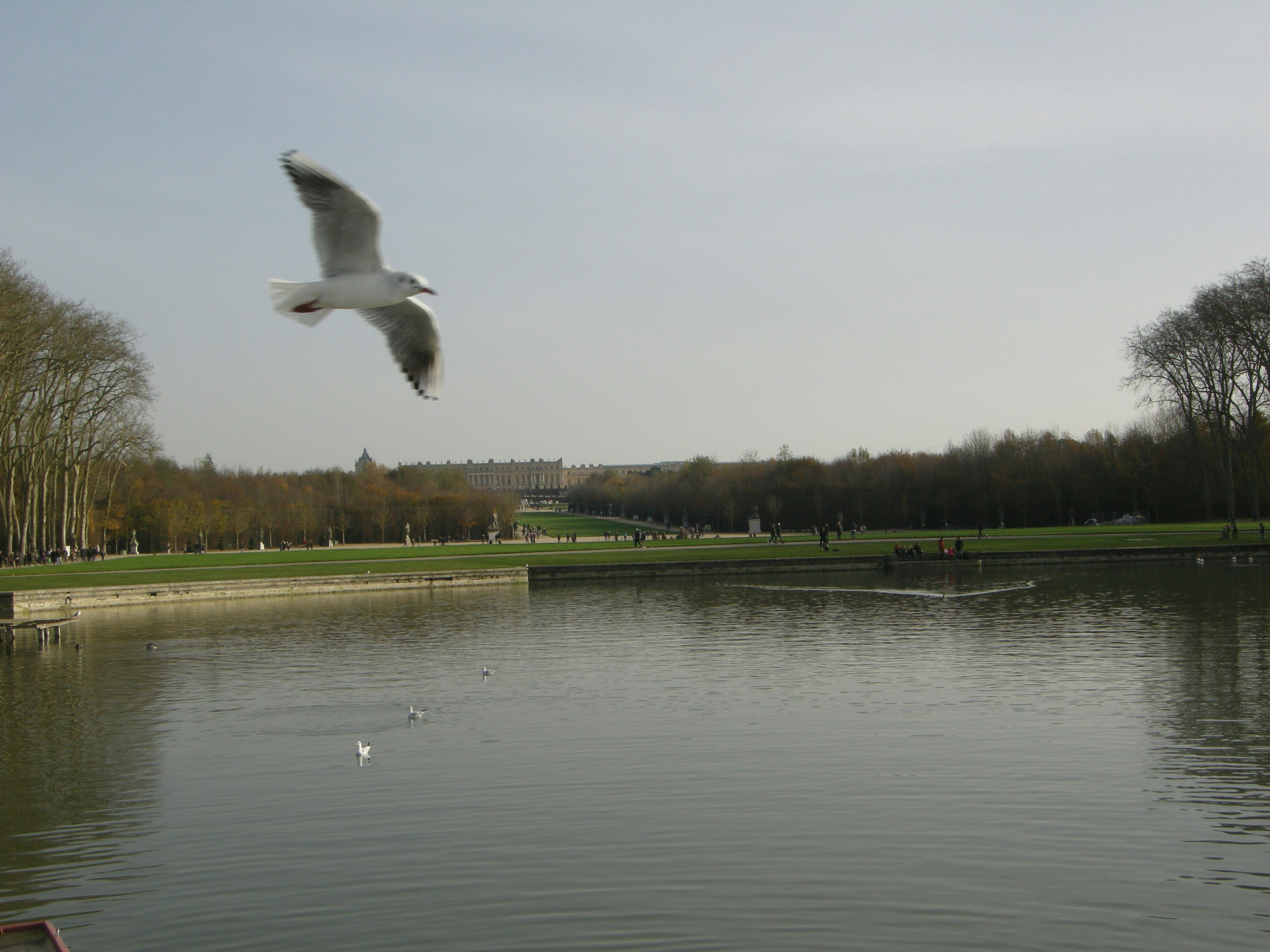 Free Unsplash photo from PETROS DIMITRIADIS