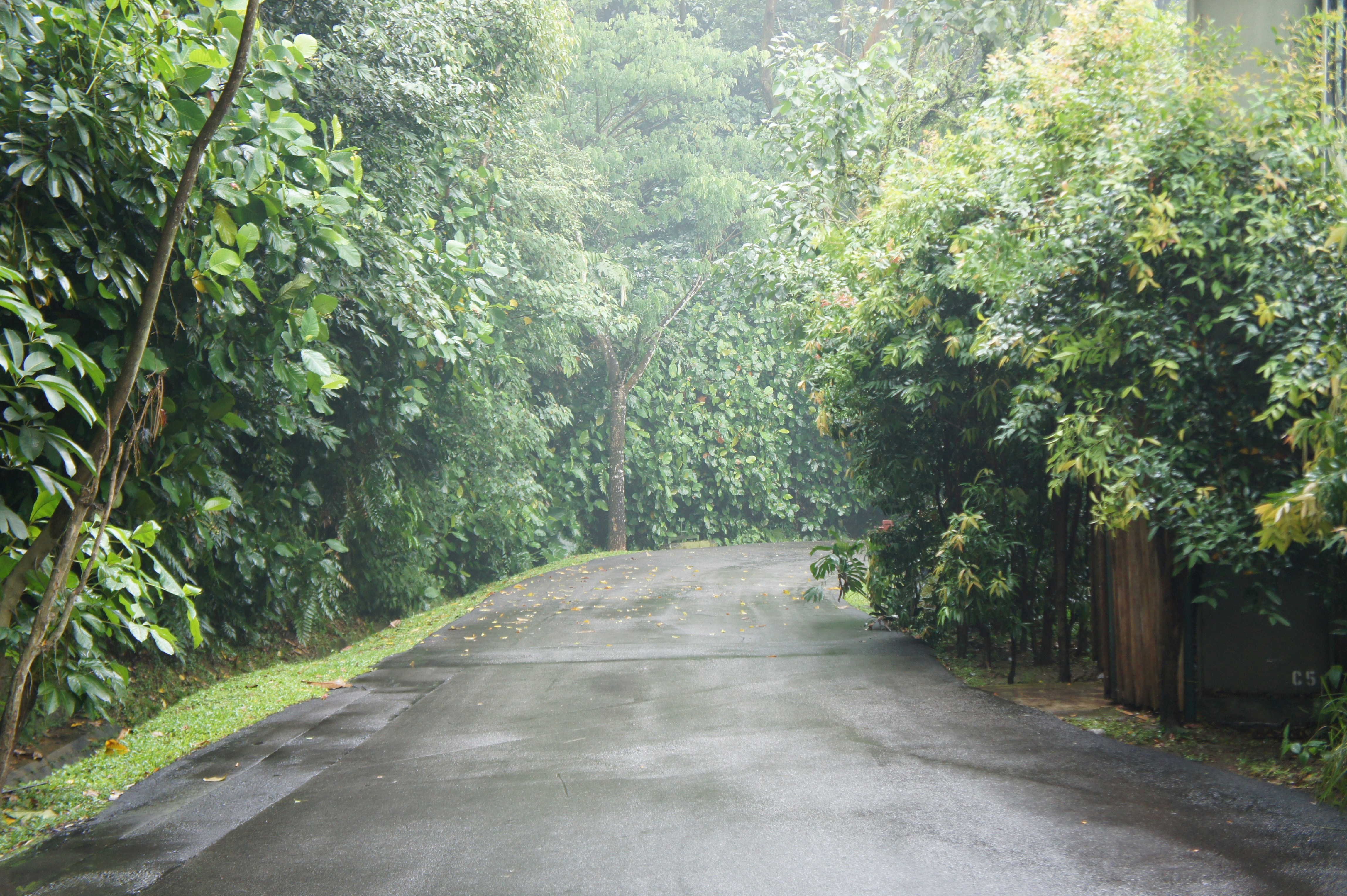 Free Unsplash photo from mia lee