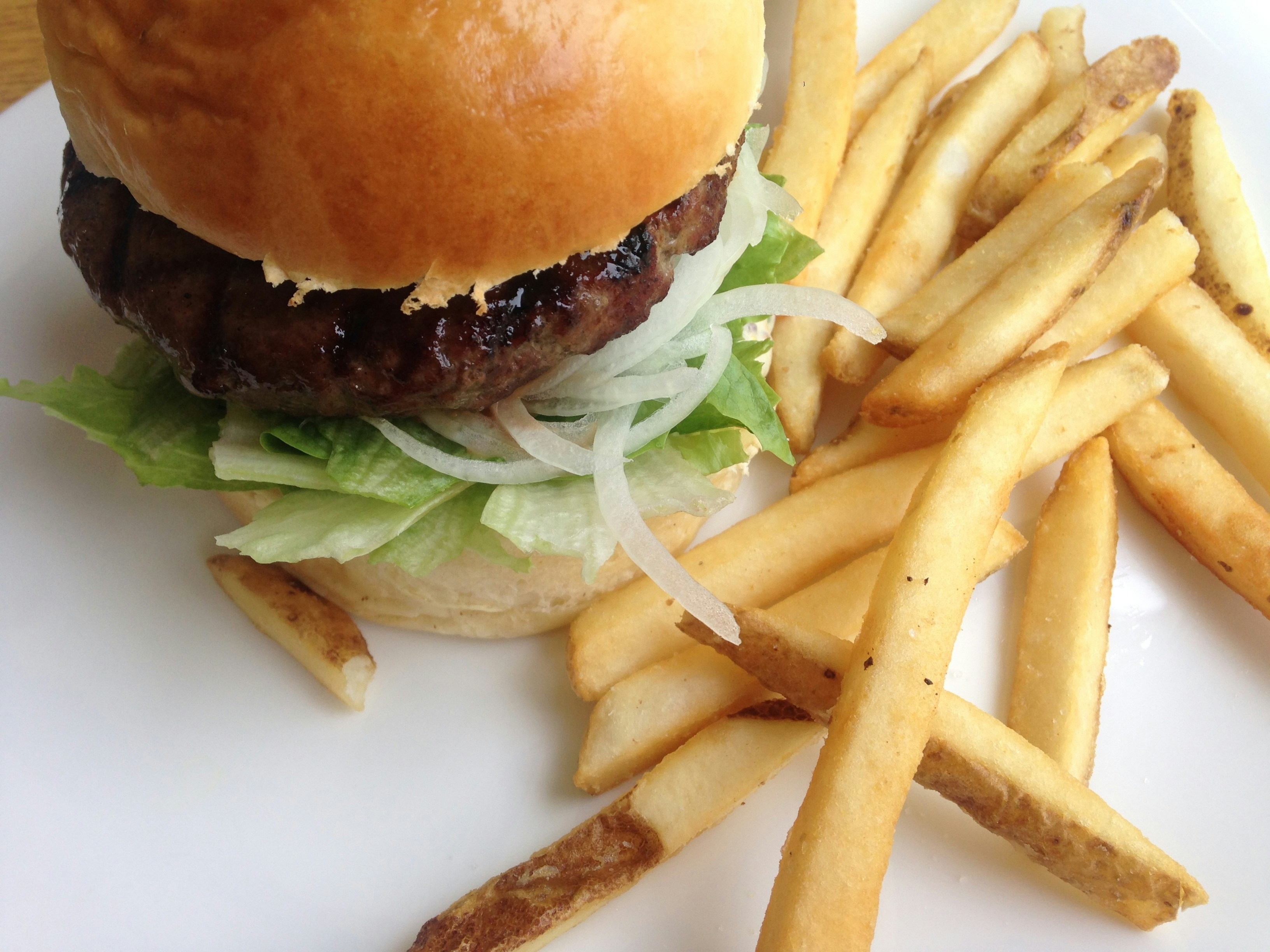 Free Unsplash photo from mia lee