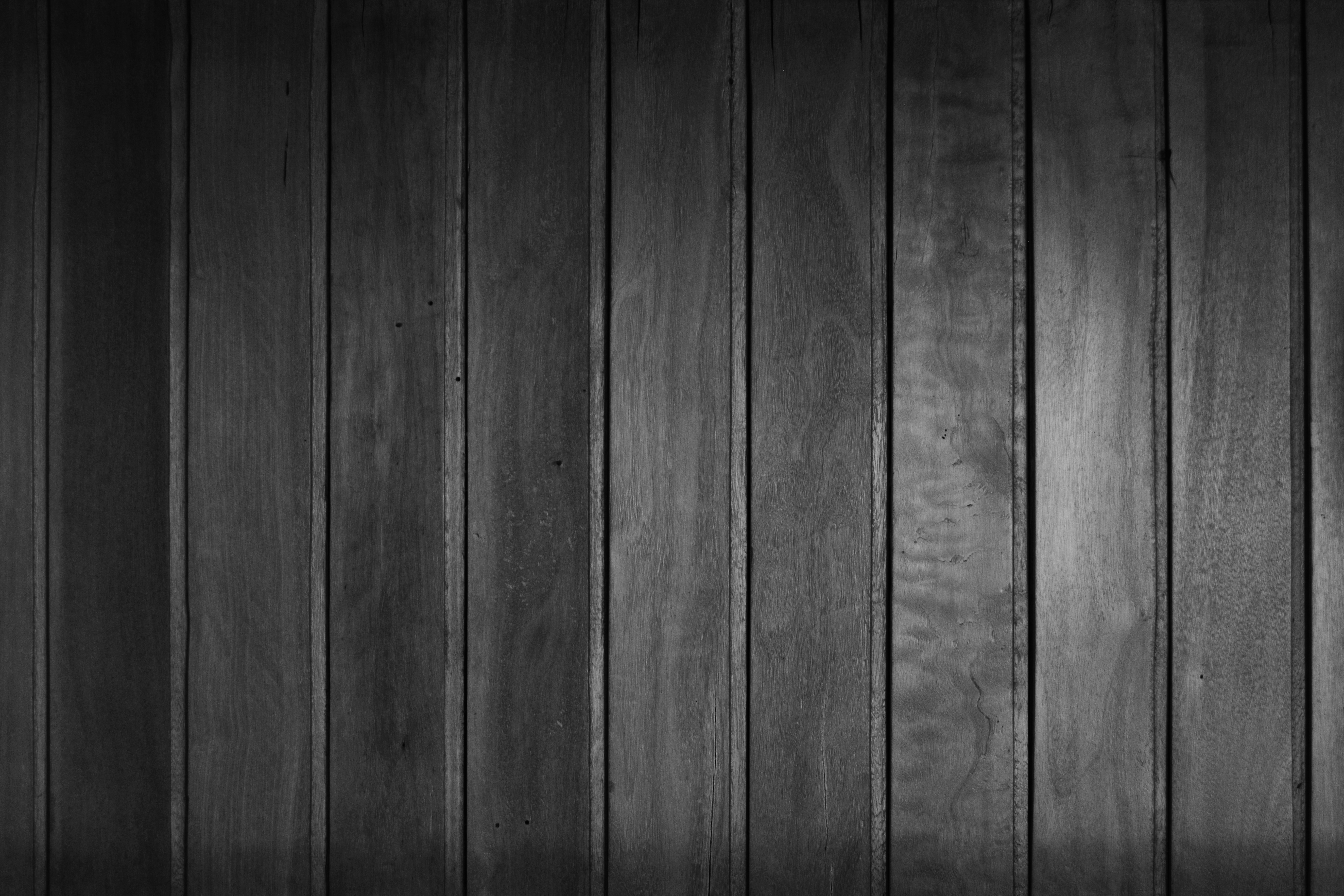 Free Unsplash photo from Studio 14