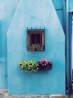 window with frame above green and pink petaled flower on floating shelf