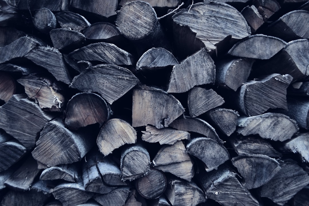 Cold fall weather of 2015, I’ve decided to go outside and turn on my camera. As I always wonder around and take photos of what catches my senses, I take a picture of this cut up wood. This wood is from a tree we cut that stood infront of our house. I remember my father during summer cutting up the wood into small pieces so we could use it for grilling or relaxing fire pit nights with friends. 

This is also my first try with Unsplash and I guess it worked! Thank you Unsplash!