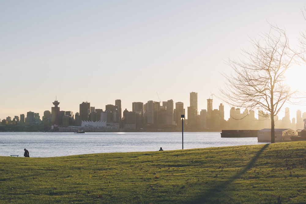 person sitting on grass lawn during sunset