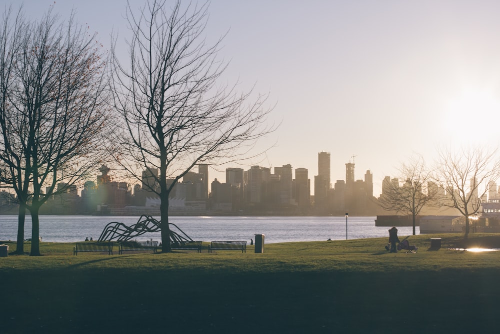 three bare trees standing beside a body of water