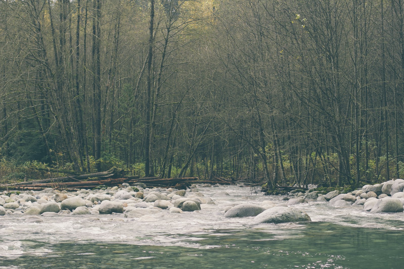 Canon EOS 60D + Canon EF 50mm F1.4 USM sample photo. Body of water between photography