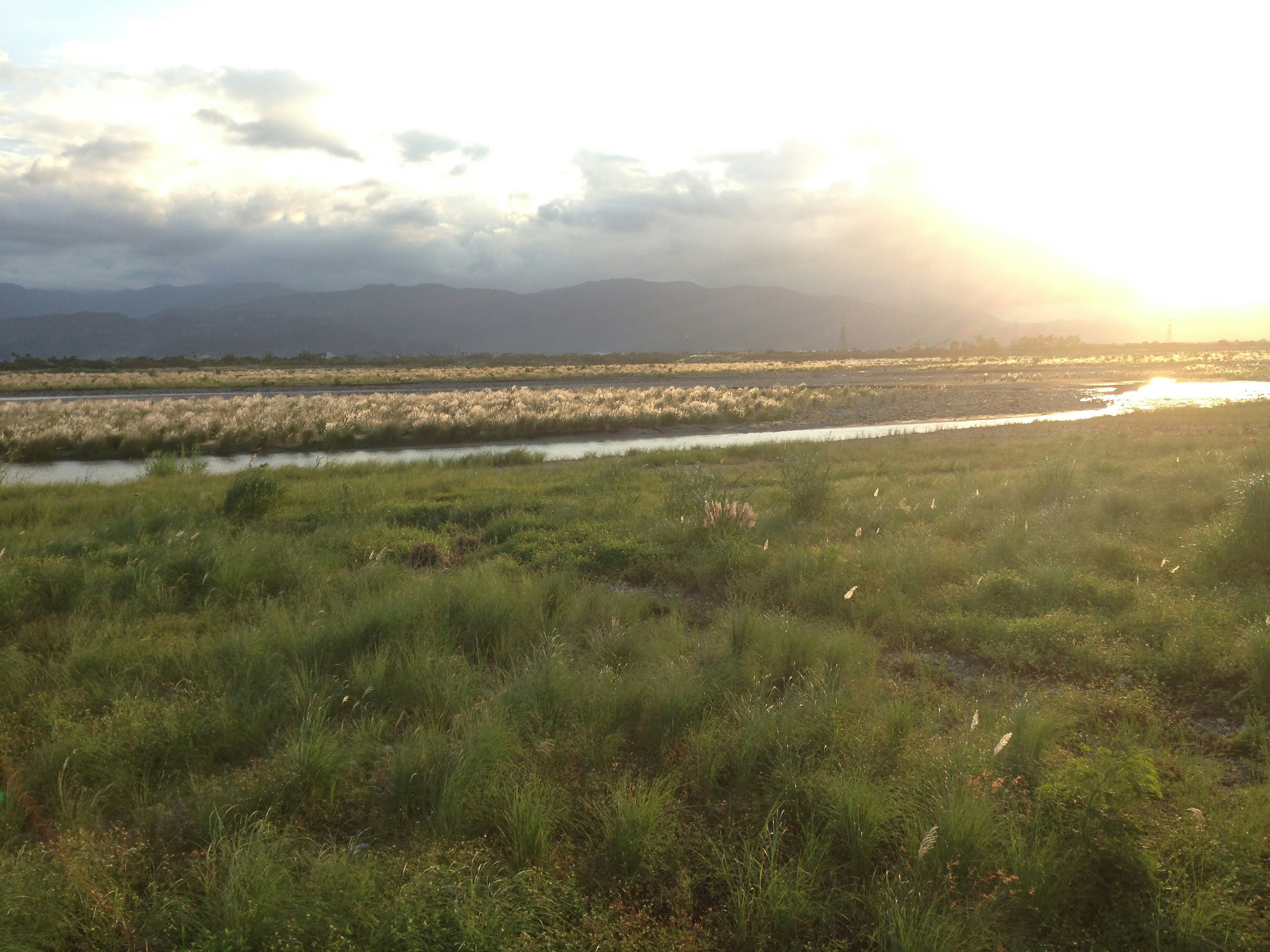 Free Unsplash photo from Johnson Chou