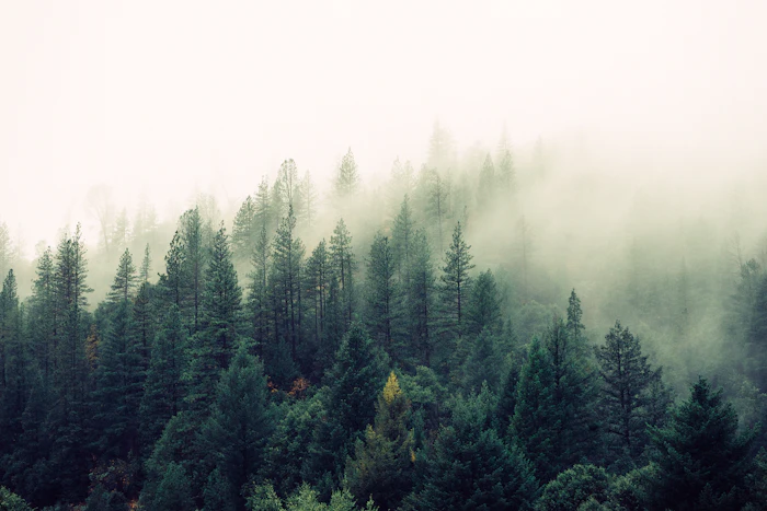 Layered ridgelines in morning mist at the end of a summer session