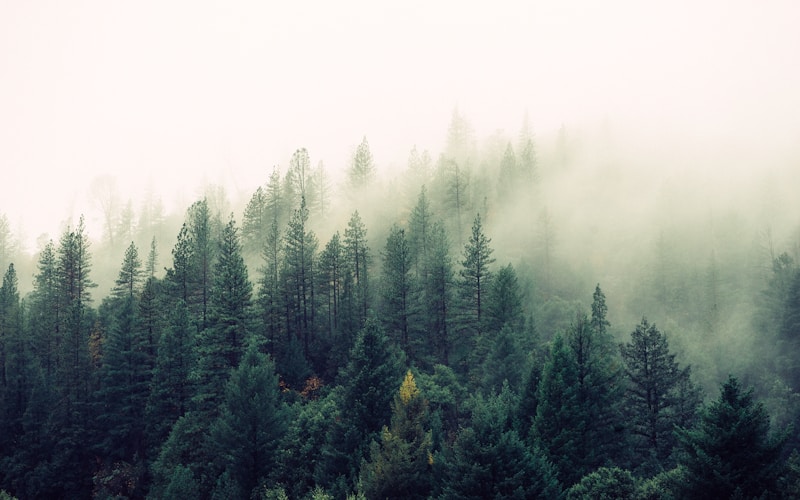 Photography Contest Winners