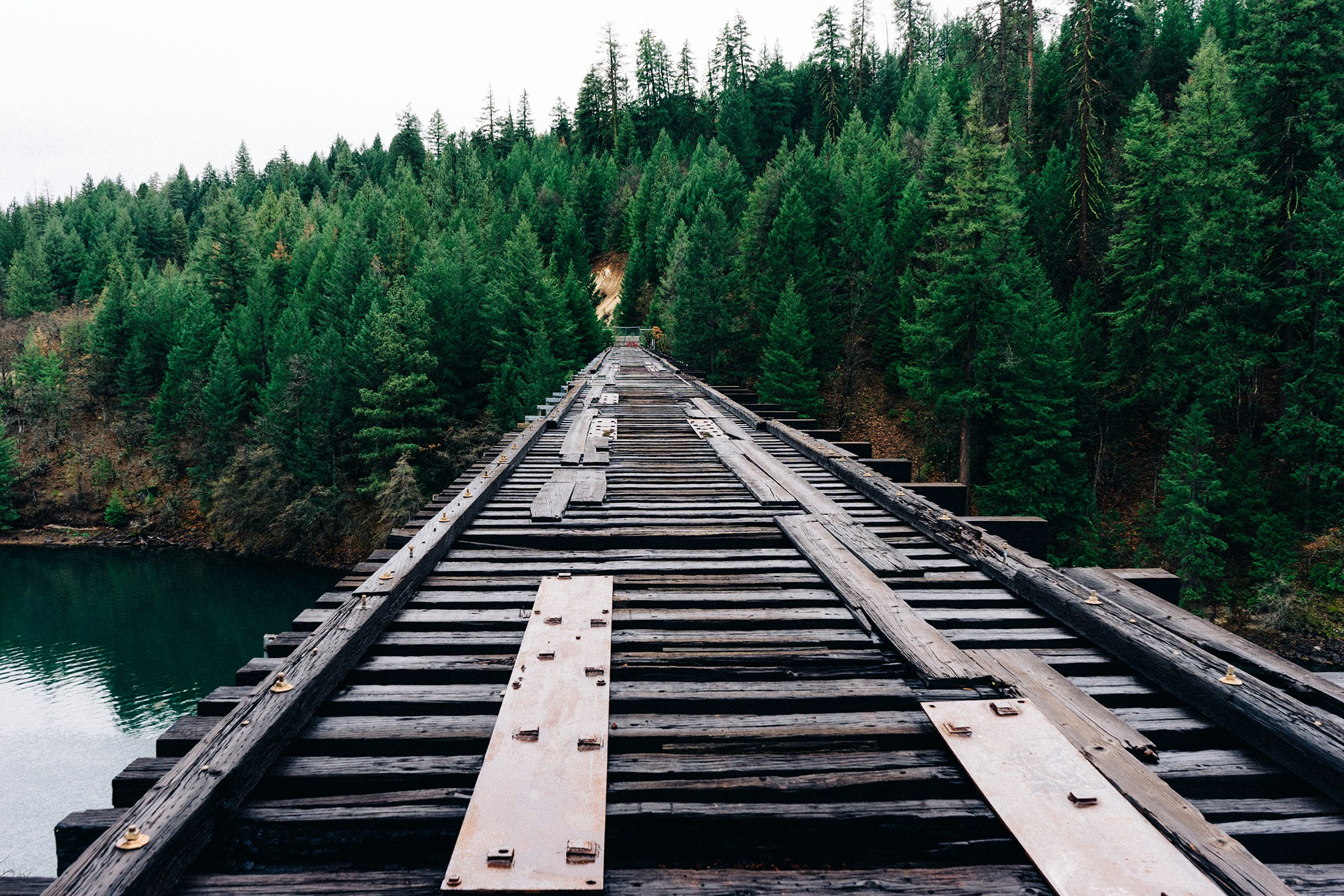 brown wooden railroad bridge near the forest during day