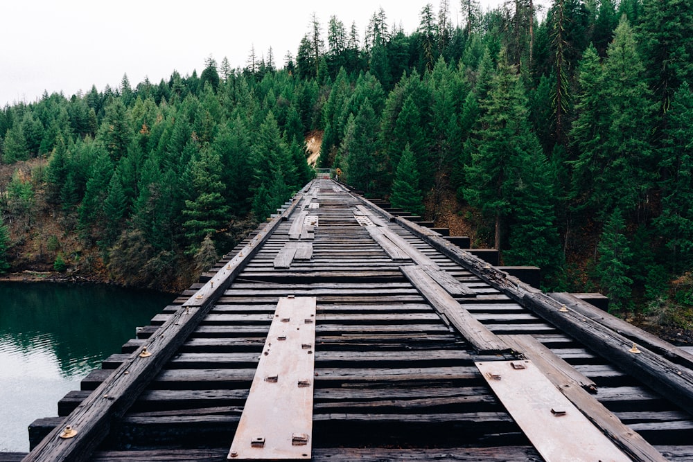 日中の森の近くの茶色の木製の鉄道橋