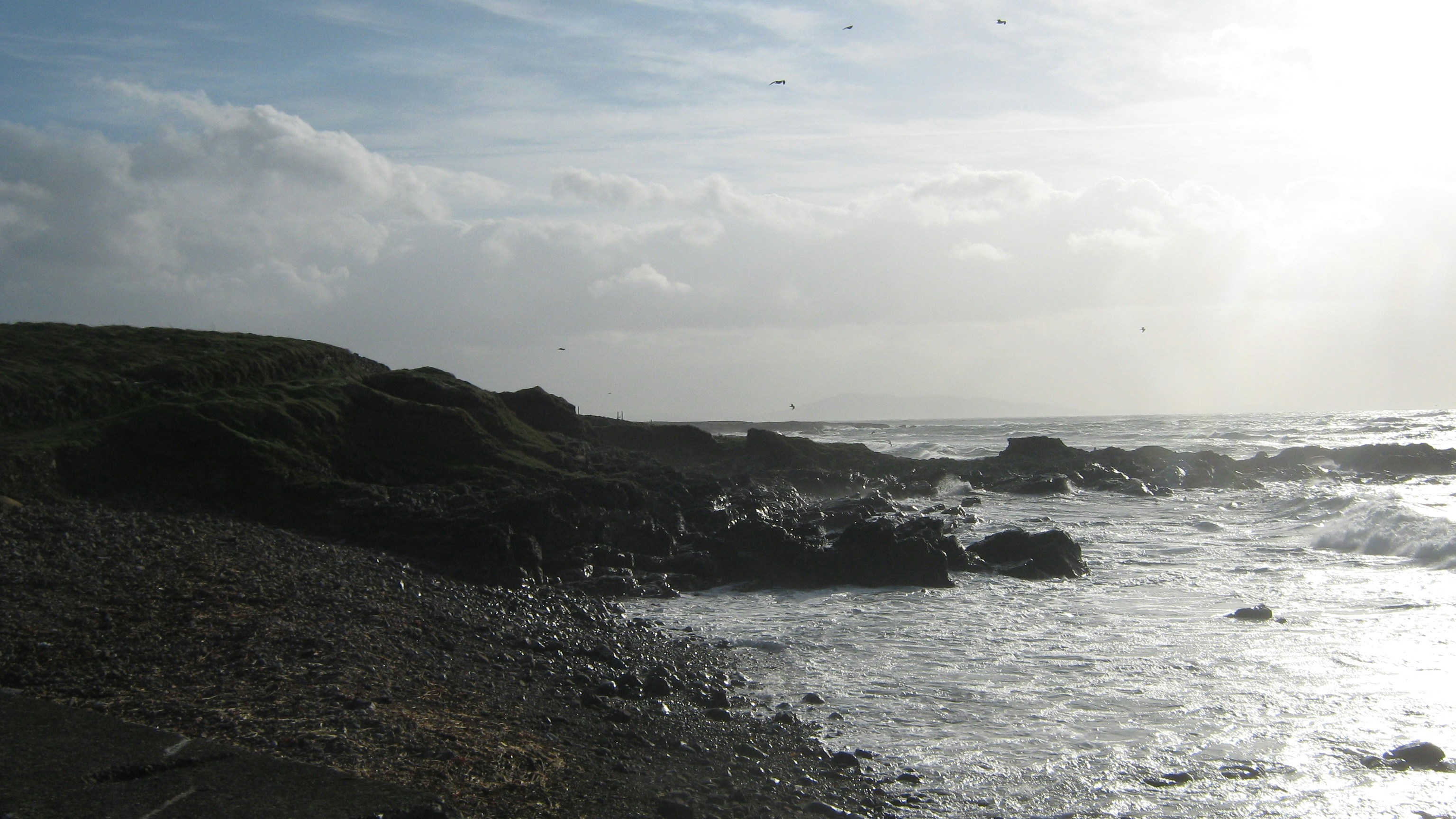 Free Unsplash photo from Barbara Doran-Rogel