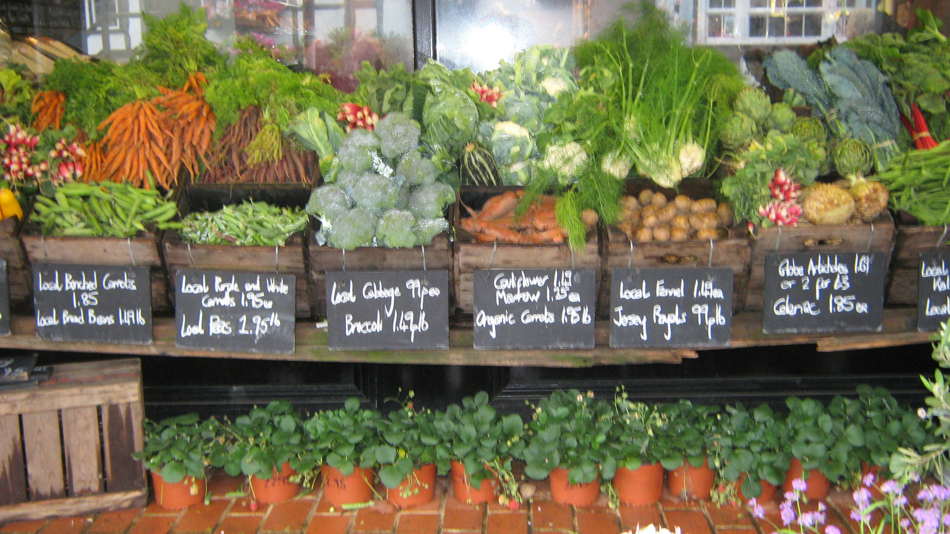 Free Unsplash photo from Barbara Doran-Rogel