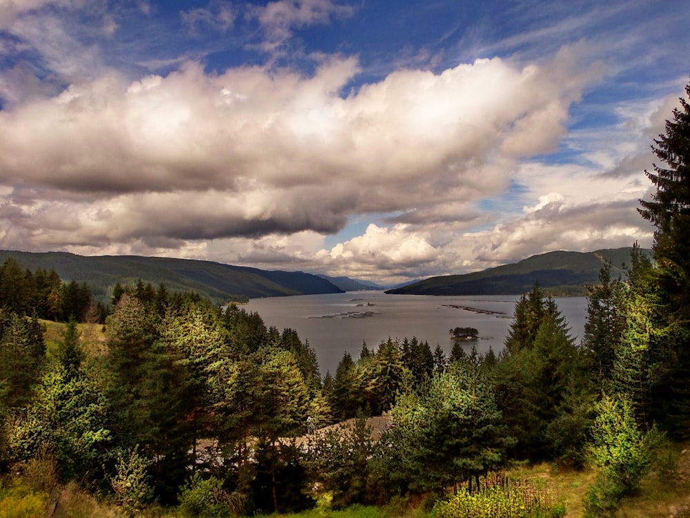 lake with trees and clouds