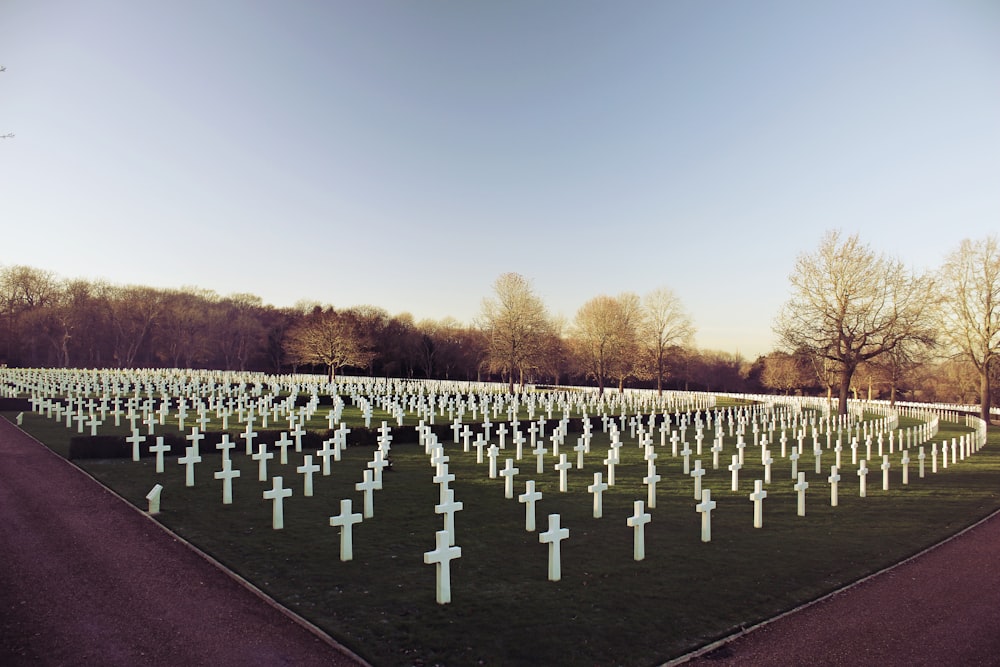 landscape photo of cemetery during daytime