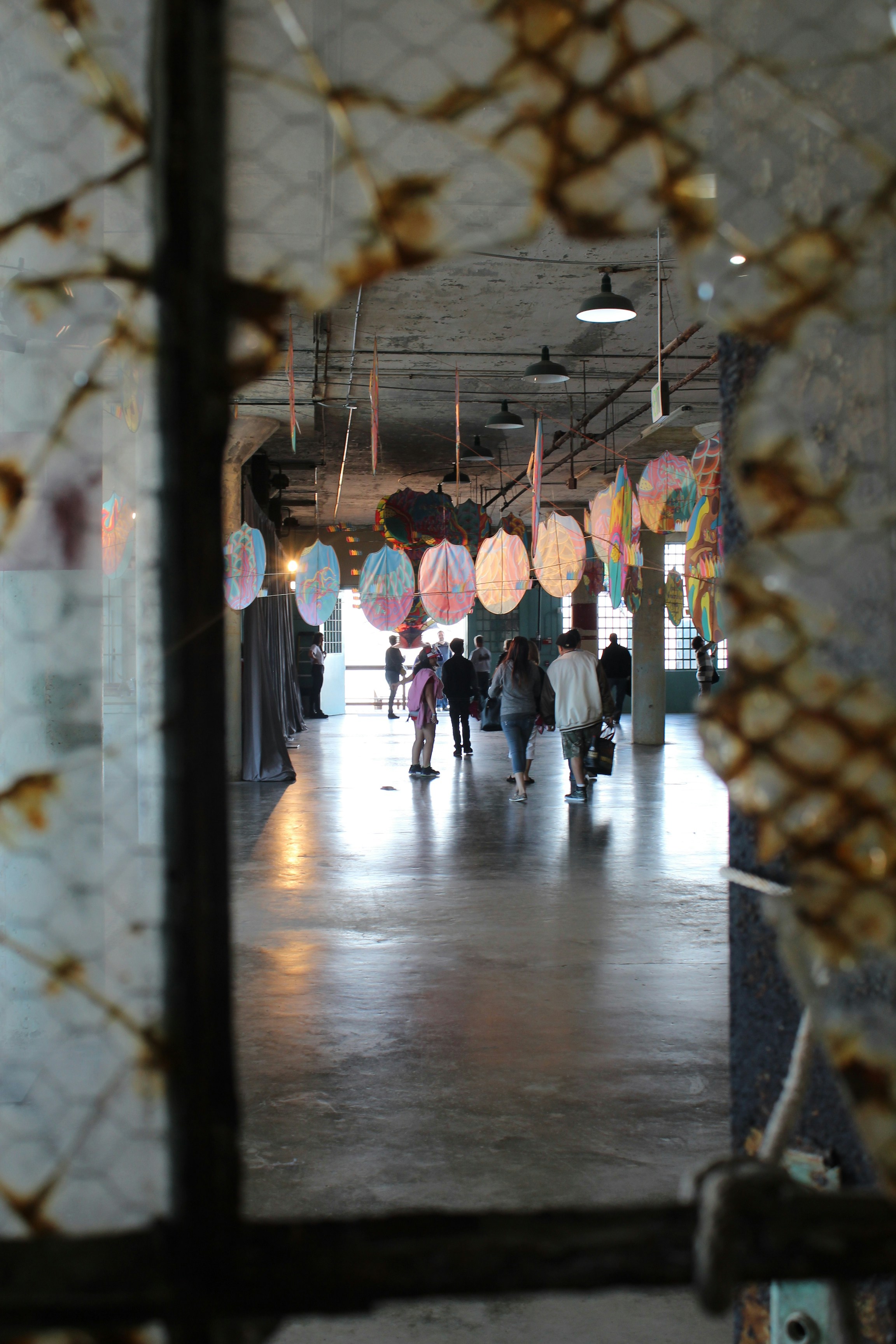 Free Unsplash photo from Grace Finnigan