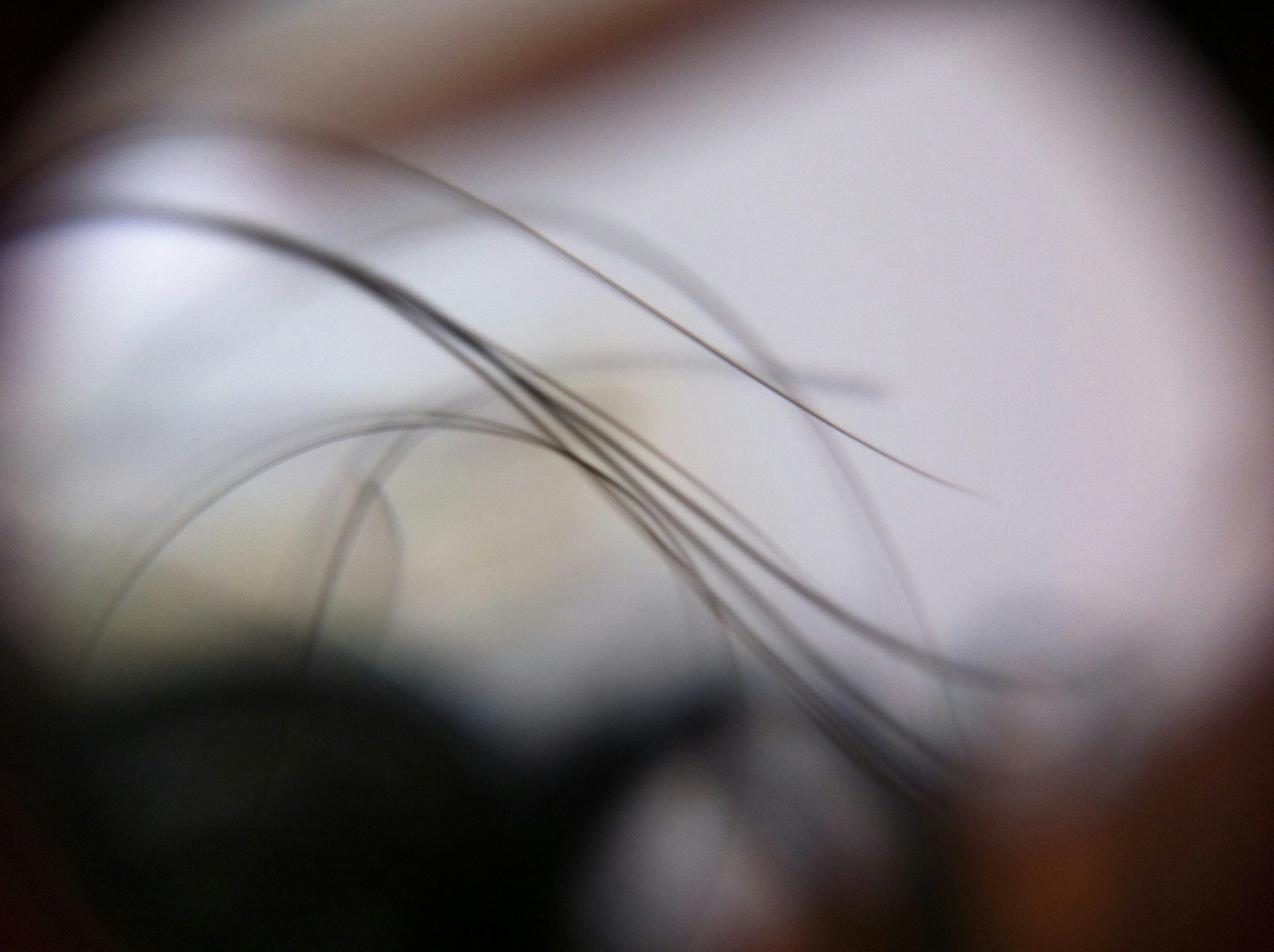 Free Unsplash photo from Alan  Silva