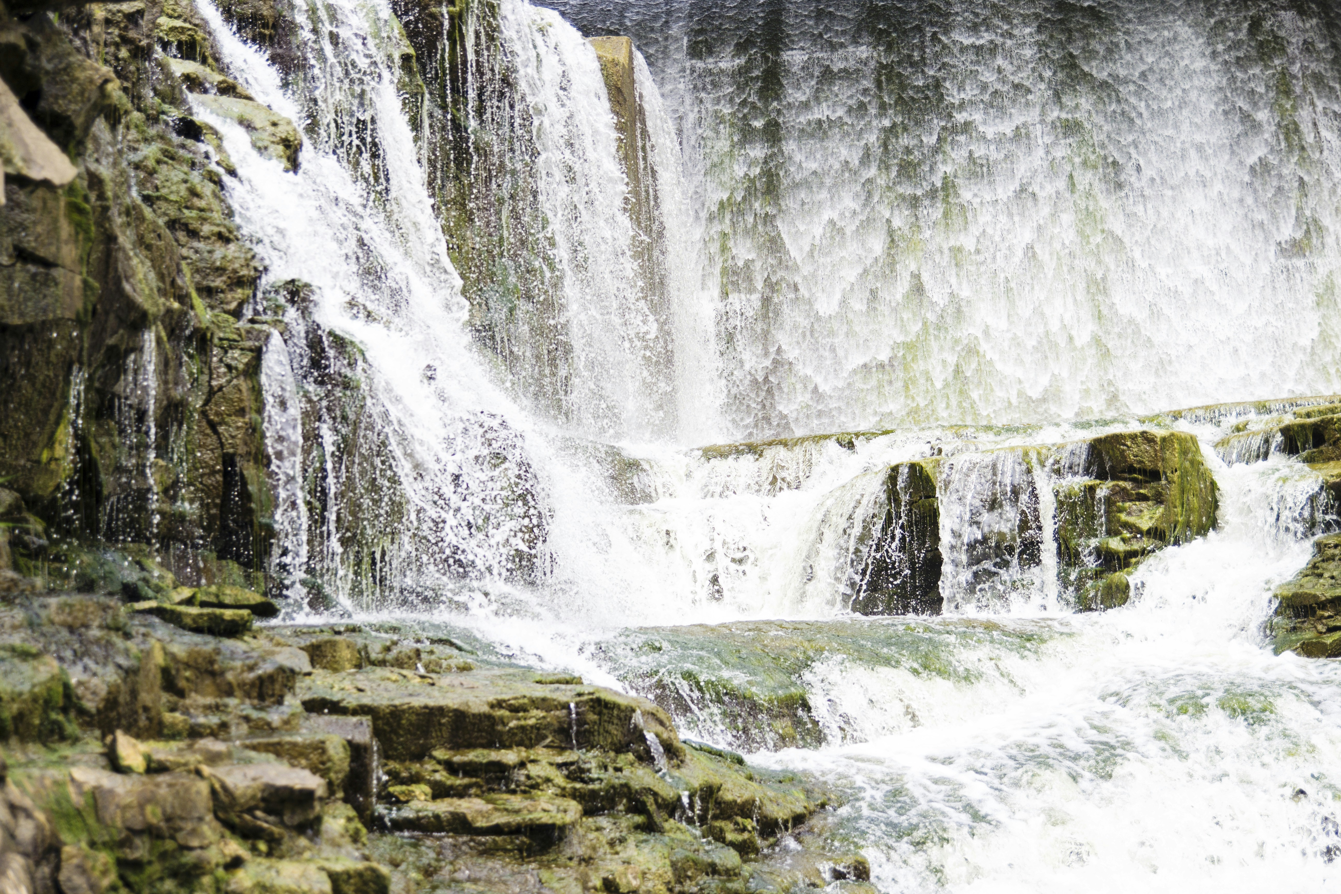 Free Unsplash photo from Jordan Barnett