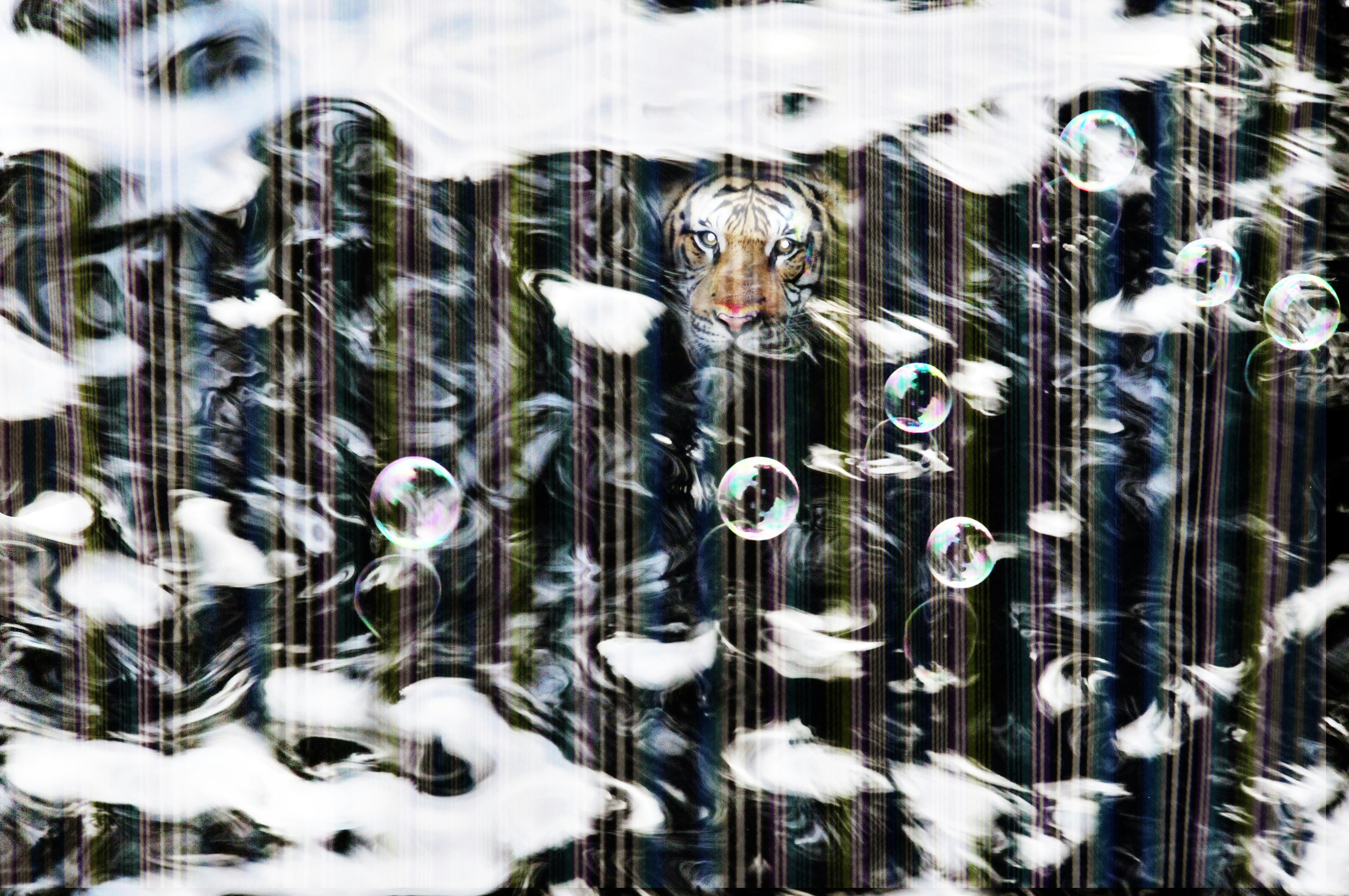 Free Unsplash photo from Kathryn-Jean Archer