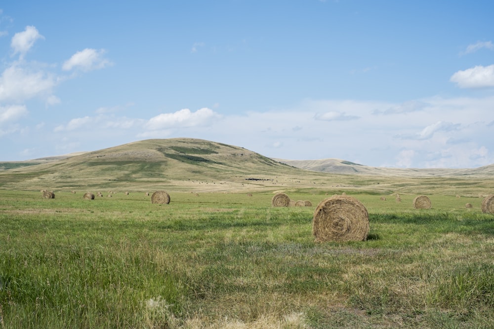 Stocks de foin sur les prairies