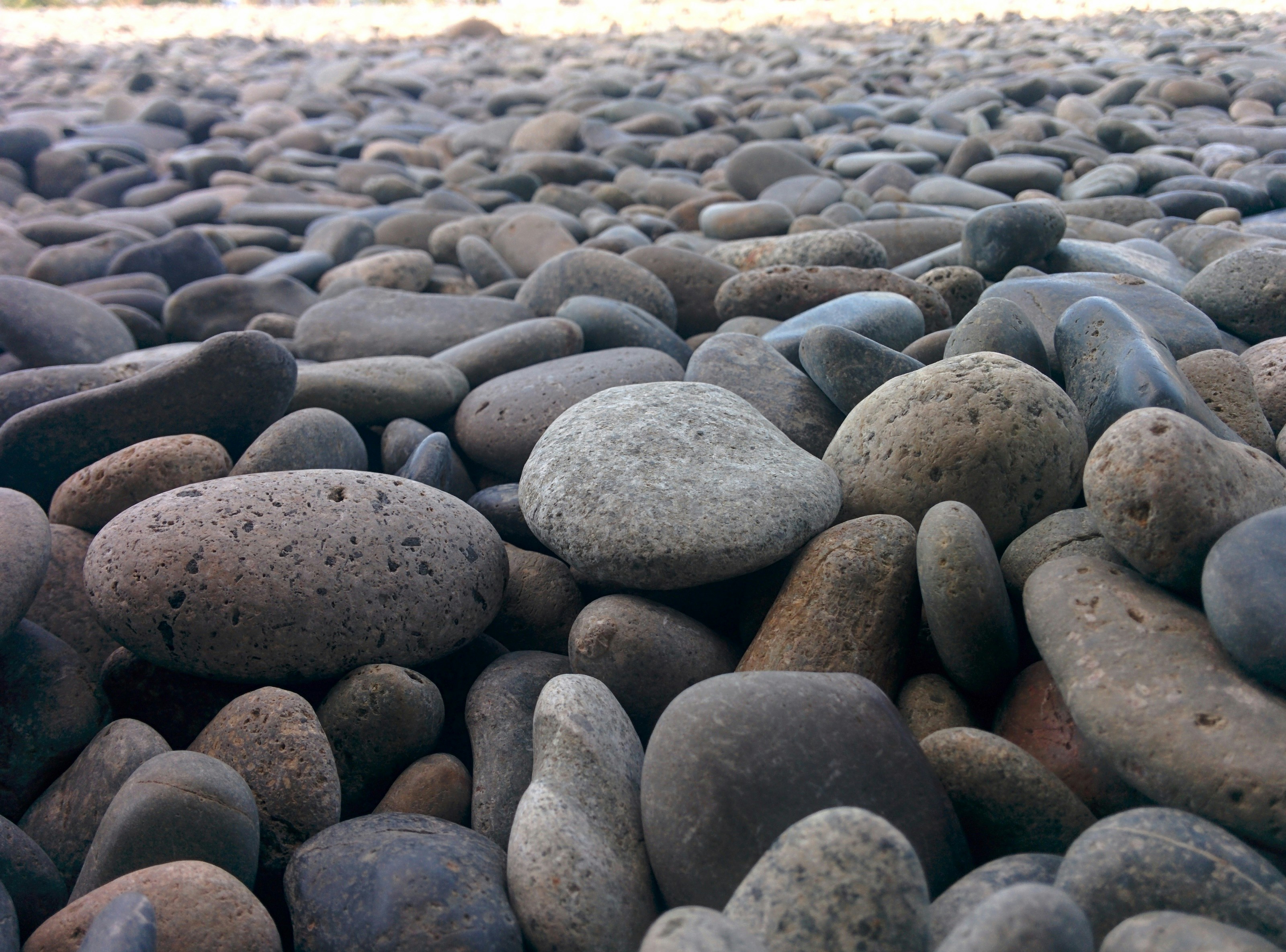 Free Unsplash photo from Ian Romie Ona