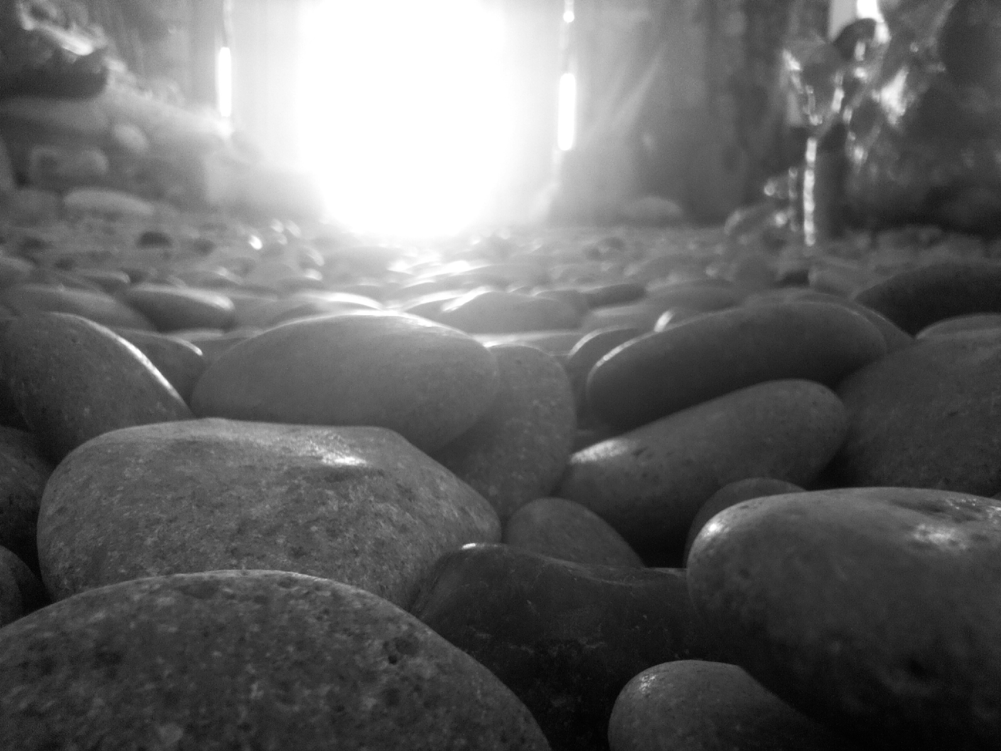 Free Unsplash photo from Rienier Patron