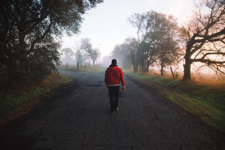 What Is The Effect Of Morning Walk On Human Health