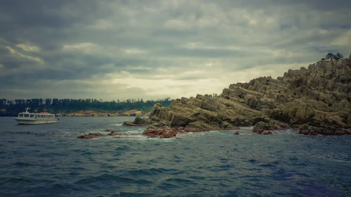 The charter boat cruising past rocky cliffs with seagulls flying overhead.