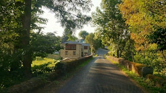 Sunlit pathway leading through a quiet residential area with modern homes.