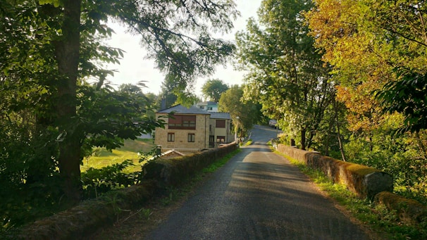 Sunlit pathway leading through a quiet residential area with modern homes.