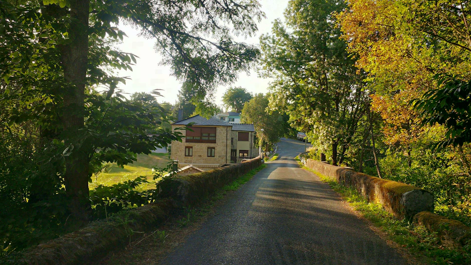 A charming street view of Pear Tree Lane homes with lush greenery and warm sunlight.