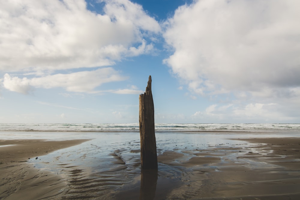 brown tree log standing on gray sand under cloudy sky