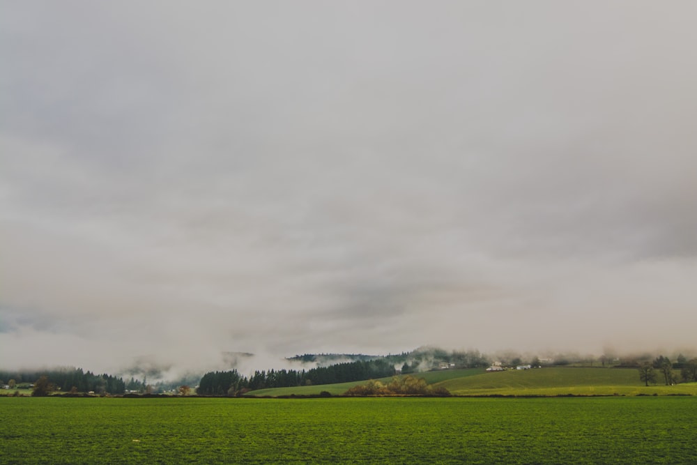 green grass field under cloudy sky